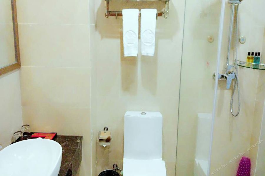 Hanting Waigaoqiao Free Trade Zone Wuzhou Avenue Hotel Shanghai
